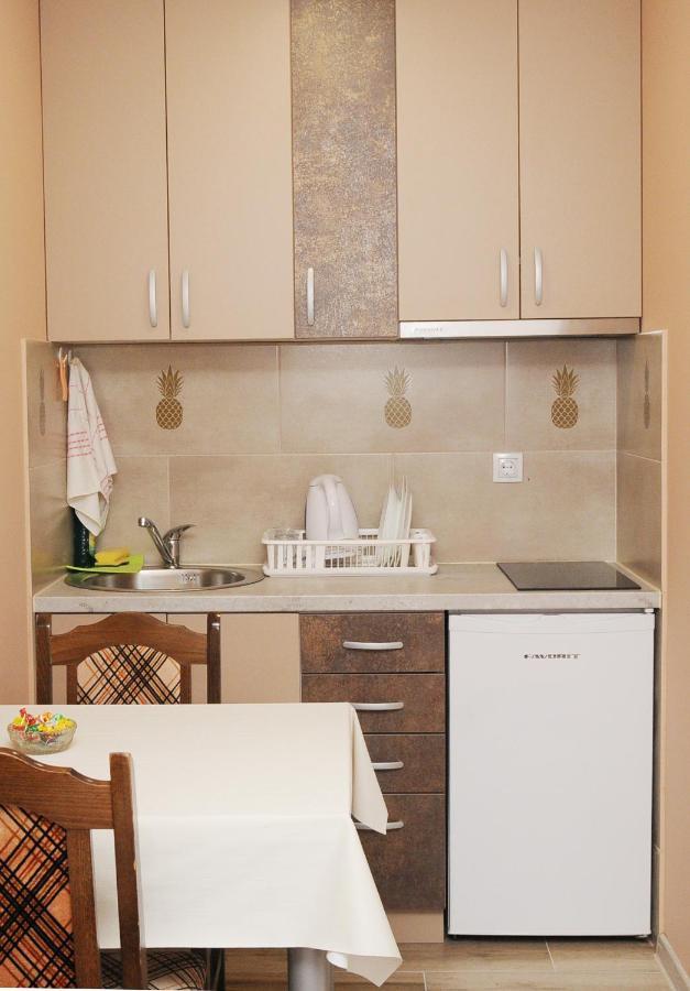 Favorit Apartments Čačak 外观 照片